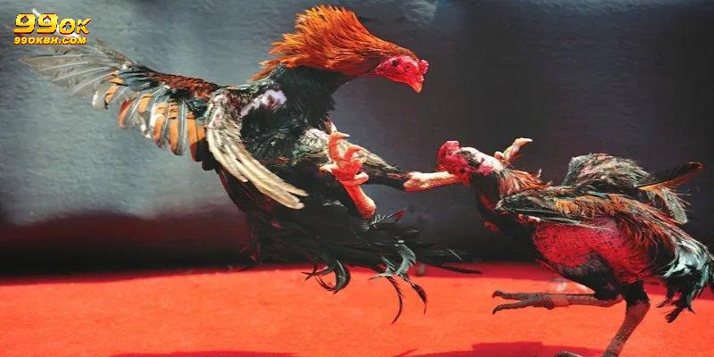 Nghiên cứu thông tin, lịch sử thi đấu và phong độ cũng rất quan trọng